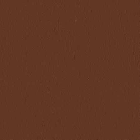 Leather Swatch - Thin