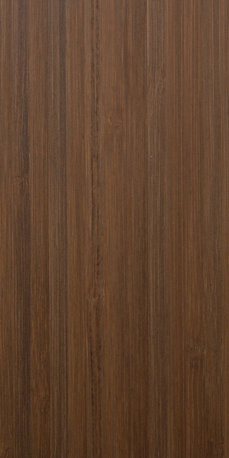 Bamboo Swatch - Sun at Six