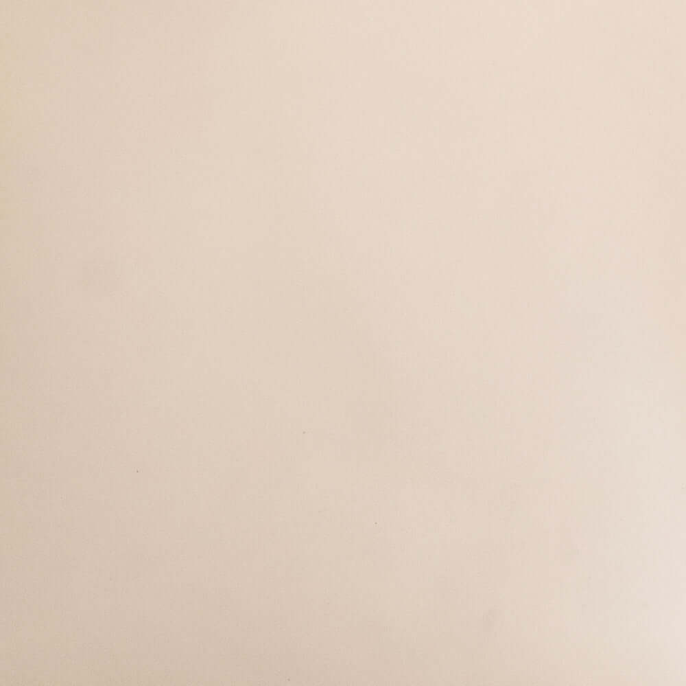 Leather Swatch - Thin